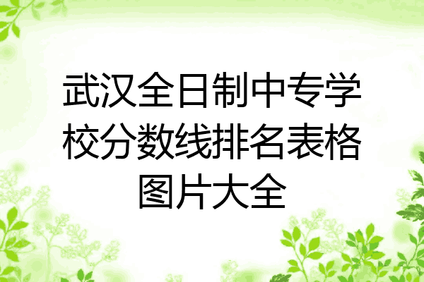 武汉全日制中专学校分数线排名表格图片大全