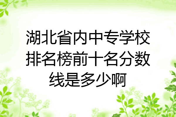 湖北省内中专学校排名榜前十名分数线是多少啊