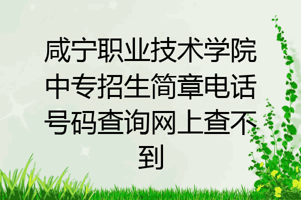咸宁职业技术学院中专招生简章电话号码查询网上查不到
