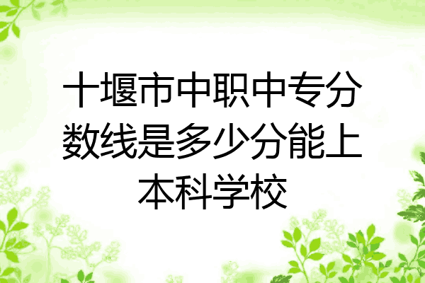 十堰市中职中专分数线是多少分能上本科学校