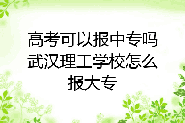 高考可以报中专吗武汉理工学校怎么报大专