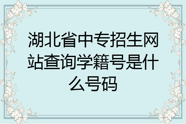 湖北省中专招生网站查询学籍号是什么号码