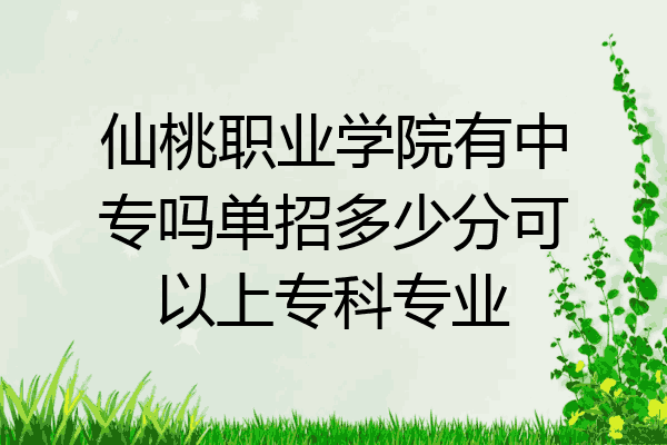 仙桃职业学院有中专吗单招多少分可以上专科专业