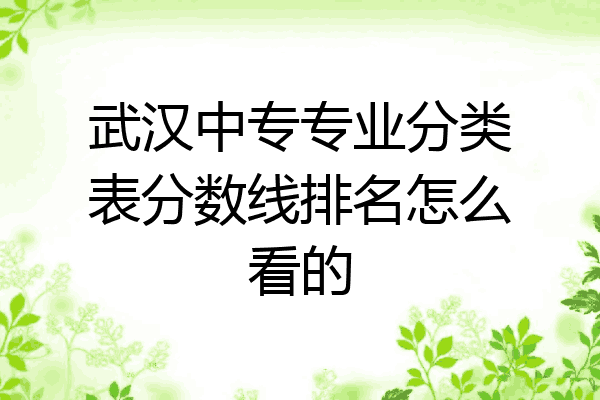 武汉中专专业分类表分数线排名怎么看的