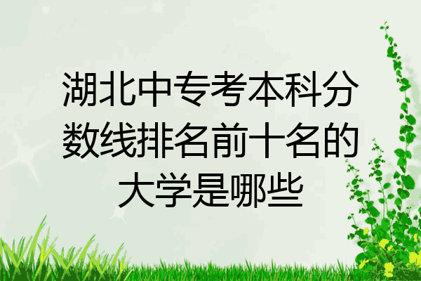 湖北中专考本科分数线排名前十名的大学是哪些