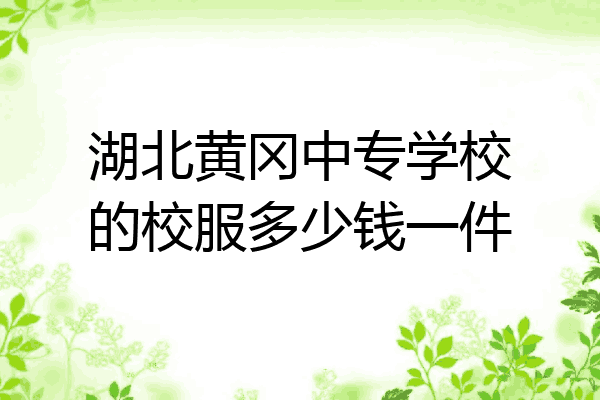 湖北黄冈中专学校的校服多少钱一件