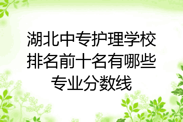 湖北中专护理学校排名前十名有哪些专业分数线