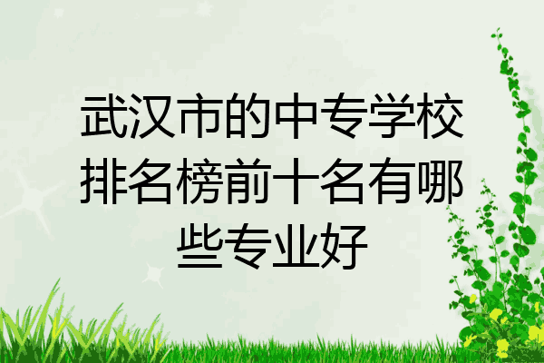 武汉市的中专学校排名榜前十名有哪些专业好