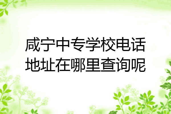 咸宁中专学校电话地址在哪里查询呢