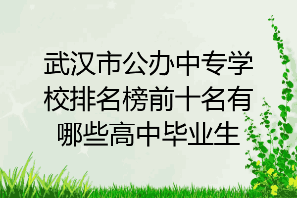 武汉市公办中专学校排名榜前十名有哪些高中毕业生