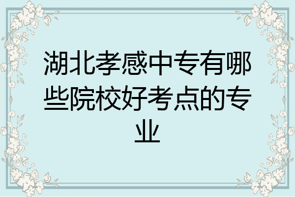 湖北孝感中专有哪些院校好考点的专业