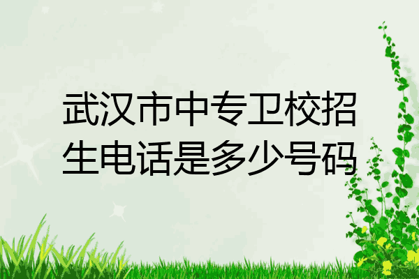 武汉市中专卫校招生电话是多少号码
