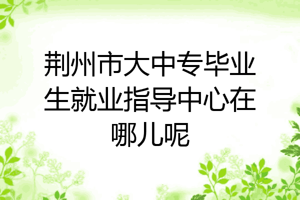 荆州市大中专毕业生就业指导中心在哪儿呢