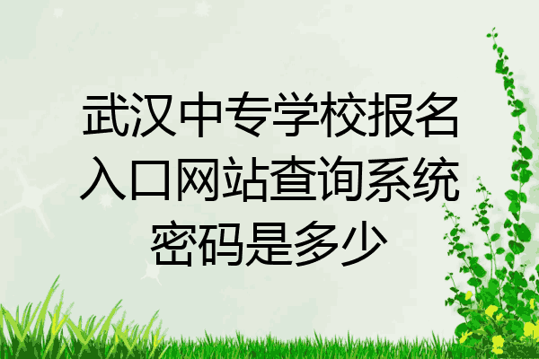 武汉中专学校报名入口网站查询系统密码是多少