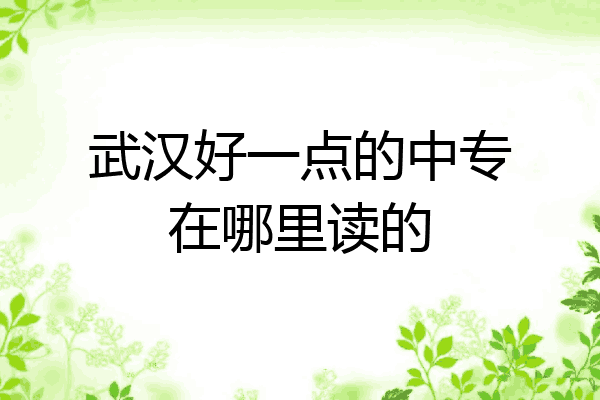 武汉好一点的中专在哪里读的