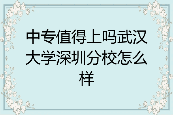 中专值得上吗武汉大学深圳分校怎么样