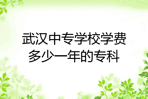 武汉中专学校学费多少一年的专科
