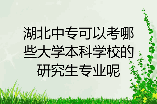 湖北中专可以考哪些大学本科学校的研究生专业呢