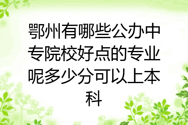 鄂州有哪些公办中专院校好点的专业呢多少分可以上本科