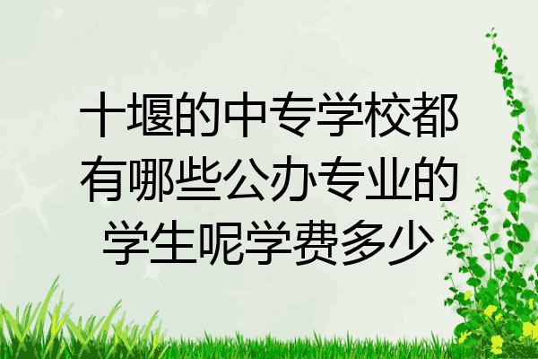 十堰的中专学校都有哪些公办专业的学生呢学费多少