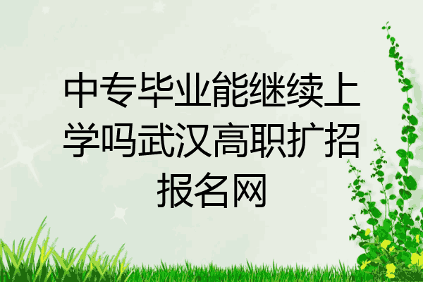 中专毕业能继续上学吗武汉高职扩招报名网