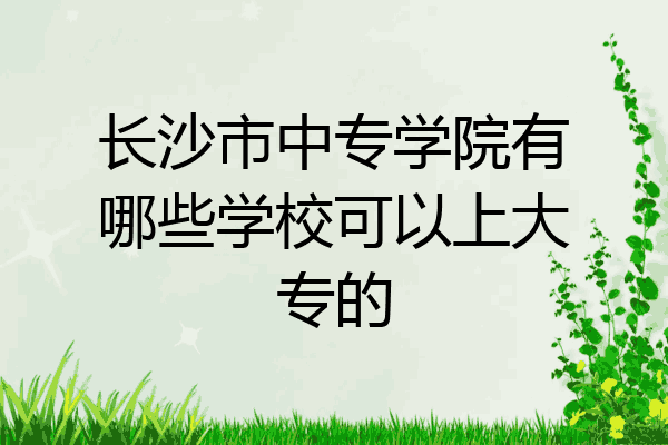 长沙市中专学院有哪些学校可以上大专的