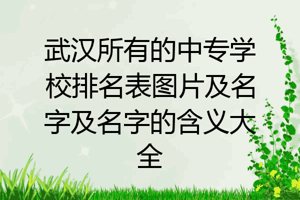 武汉所有的中专学校排名表图片及名字及名字的含义大全