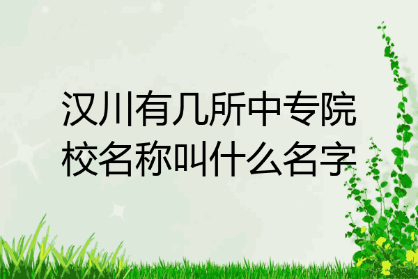 汉川有几所中专院校名称叫什么名字