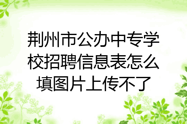 荆州市公办中专学校招聘信息表怎么填图片上传不了