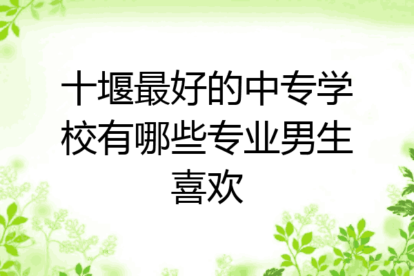 十堰最好的中专学校有哪些专业男生喜欢