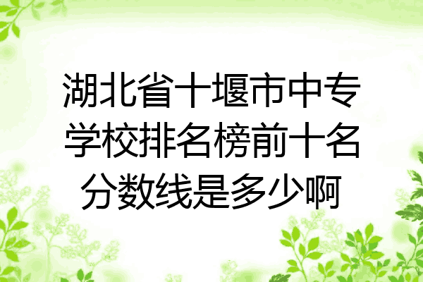 湖北省十堰市中专学校排名榜前十名分数线是多少啊