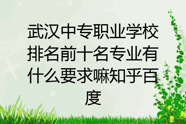 武汉中专职业学校排名前十名专业有什么要求嘛知乎百度