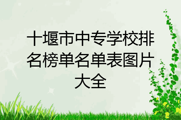 十堰市中专学校排名榜单名单表图片大全
