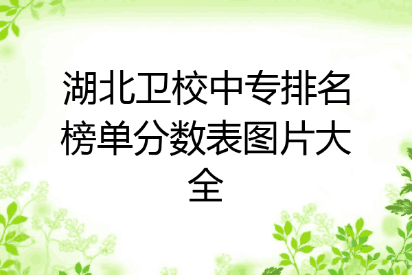 湖北卫校中专排名榜单分数表图片大全