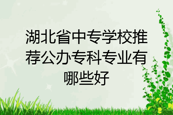 湖北省中专学校推荐公办专科专业有哪些好