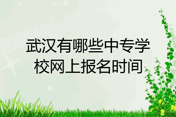 武汉有哪些中专学校网上报名时间