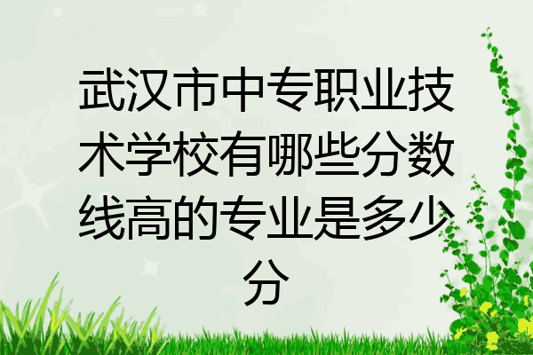 武汉市中专职业技术学校有哪些分数线高的专业是多少分