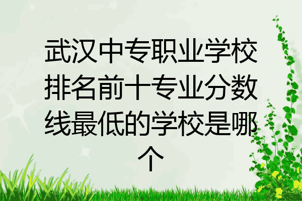 武汉中专职业学校排名前十专业分数线最低的学校是哪个