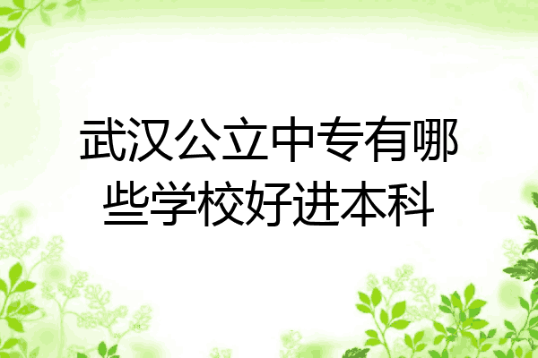 武汉公立中专有哪些学校好进本科