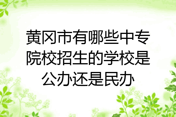 黄冈市有哪些中专院校招生的学校是公办还是民办