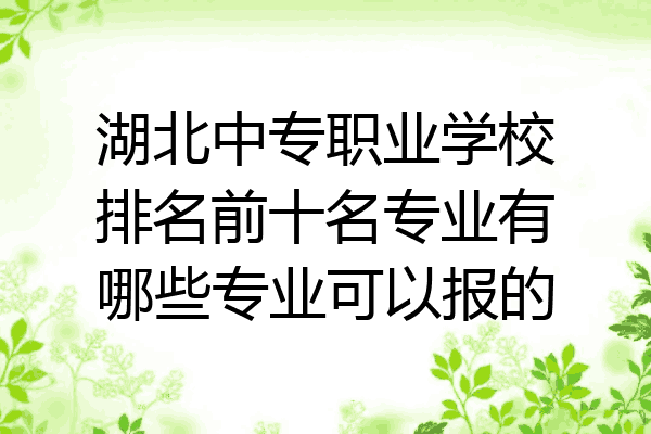 湖北中专职业学校排名前十名专业有哪些专业可以报的