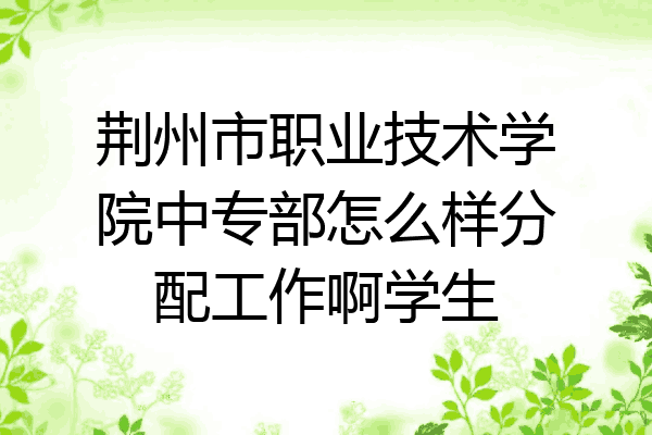 荆州市职业技术学院中专部怎么样分配工作啊学生