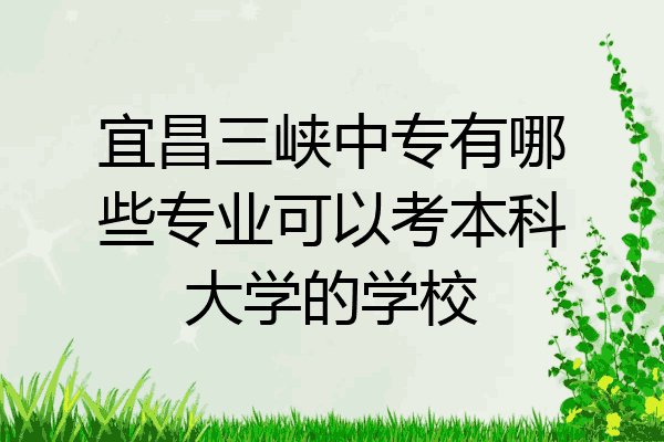 宜昌三峡中专有哪些专业可以考本科大学的学校