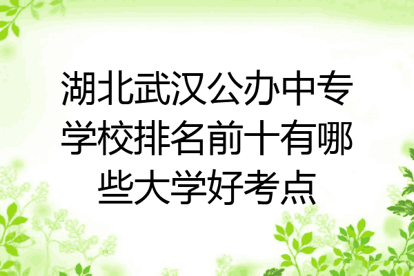 湖北武汉公办中专学校排名前十有哪些大学好考点