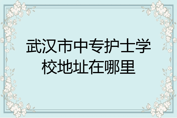 武汉市中专护士学校地址在哪里