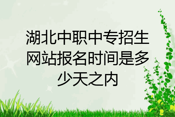 湖北中职中专招生网站报名时间是多少天之内