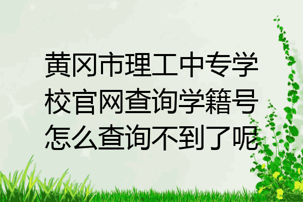 黄冈市理工中专学校官网查询学籍号怎么查询不到了呢