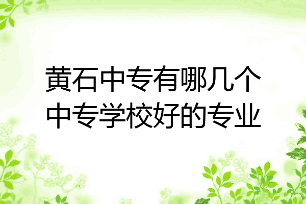 黄石中专有哪几个中专学校好的专业