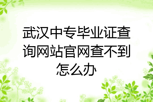 武汉中专毕业证查询网站官网查不到怎么办