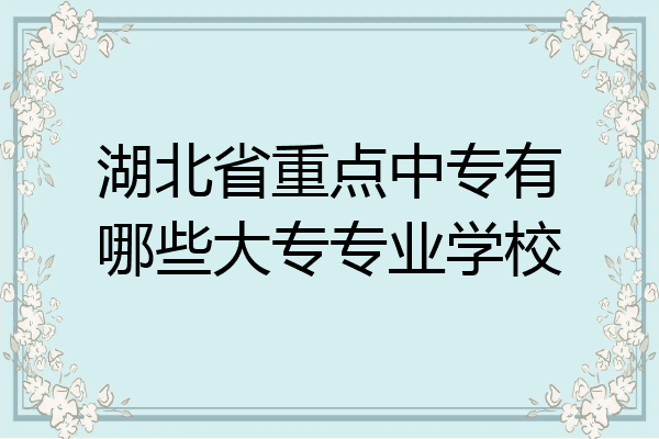 湖北省重点中专有哪些大专专业学校